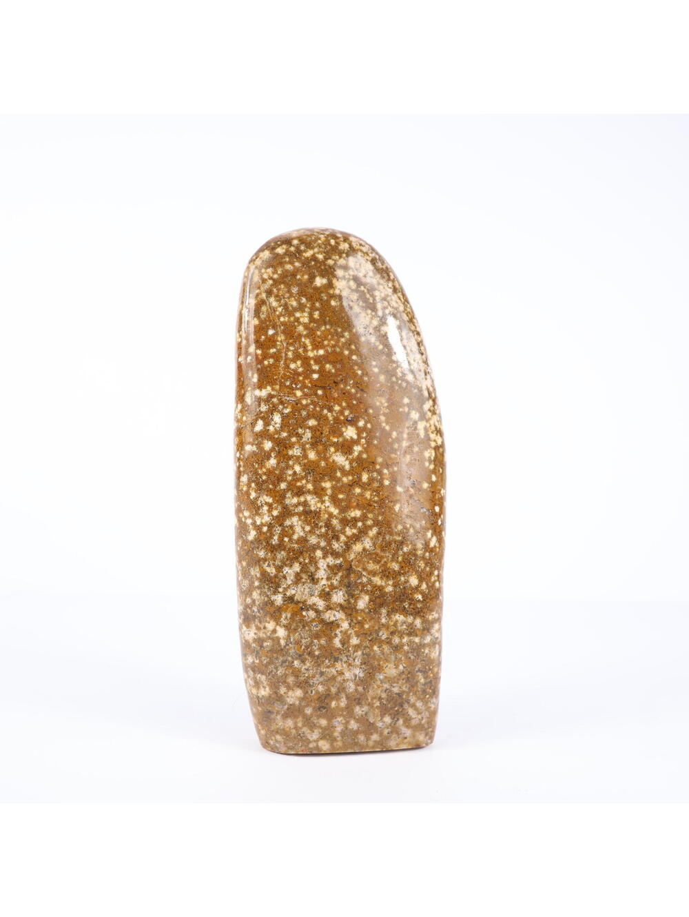 Ocean Jasper 5.5" Freeform Carving 412g Crystal Display Decor 0166